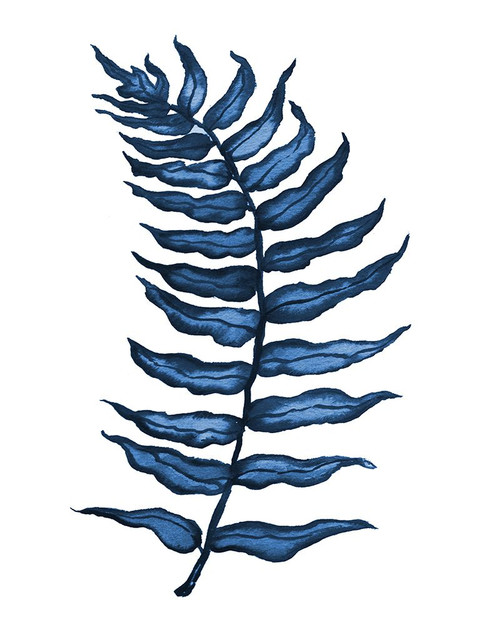 Blue Fern I Poster Print - Elizabeth Medley # VARPDX15881
