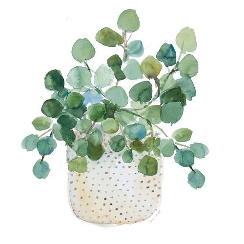 Potted Plant III Poster Print - Lanie Loreth # VARPDX13864G