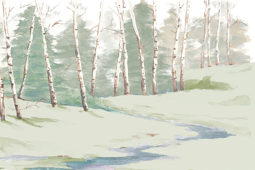 Winter Landscape Poster Print - Patricia Pinto # VARPDX15833A