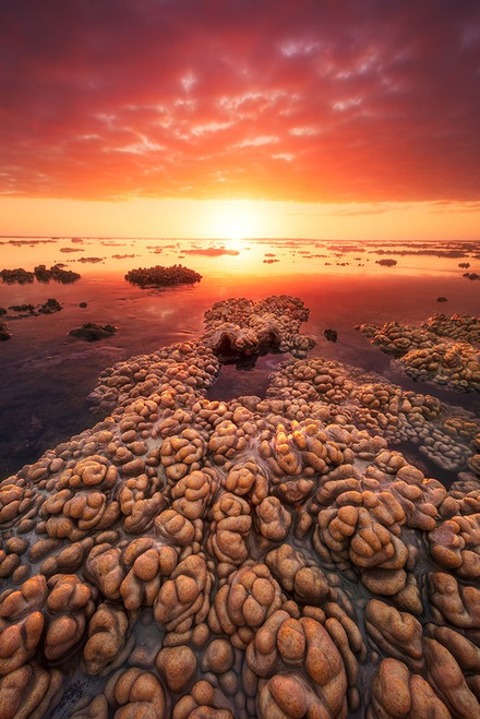 Low Tide On The Lagoon Of Saint Leu. Poster Print - Barathieu Gabriel # VARPDX1220936