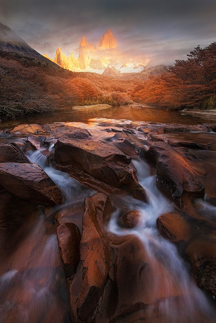 Dreamland Poster Print - Yan Zhang # VARPDX1176081