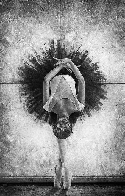 The Cassowary Dance Poster Print - Sebastian Kisworo # VARPDX1573197