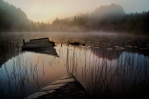 In The Misty Morning Poster Print - Willy Marthinussen # VARPDX1026666