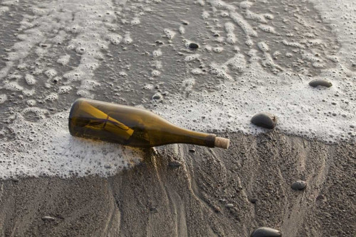 WA, Olympic NP Message in a bottle on shore by Don Paulson - Item # VARPDXUS48BJA0334
