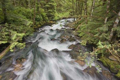 WA, North Cascades Water rushes in Cascade River by Don Paulson - Item # VARPDXUS48BJA0250