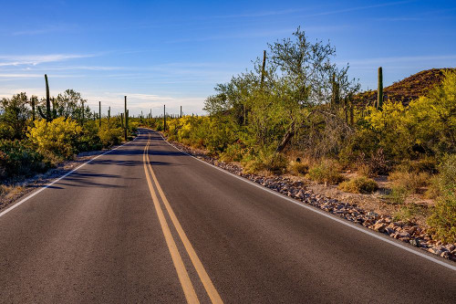 Arizona-Tucson-Saguaro National Park by Peter Hawkins - Item # VARPDXUS03PHA0370
