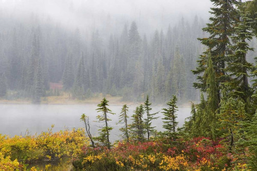 WA, Mount Rainier NP Trees and lake in mist by Don Paulson - Item # VARPDXUS48BJA0108