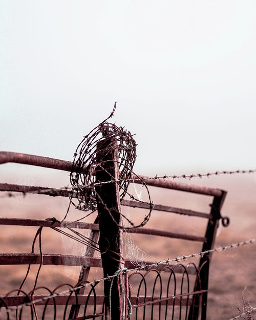 Rusty Fence Poster Print - Leah Straatsma - Item # VARPDXLSRC239A2