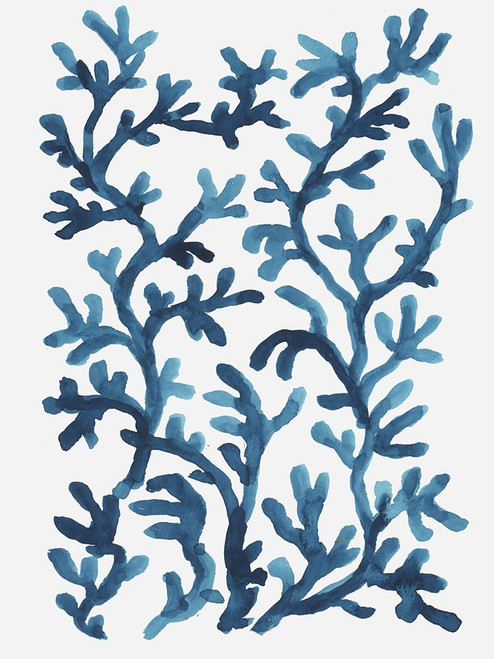 Blue Sea Coral I Poster Print - Aimee Wilson - Item # VARPDXWL512A
