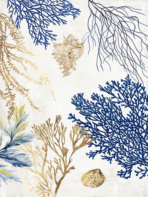 Soft Blue Corals II Poster Print - Aimee Wilson - Item # VARPDXWL518A