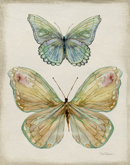 Botanical Butterflies II Poster Print - Carol Robinson