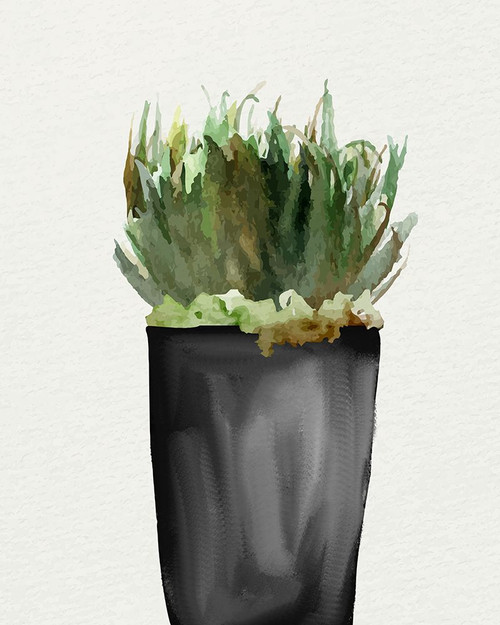 Black Pots 2 Poster Print - Ann Bailey - Item # VARPDXBARC219B