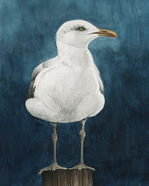 Night Gull I Poster Print - Grace Popp - Item # VARPDX211436FN