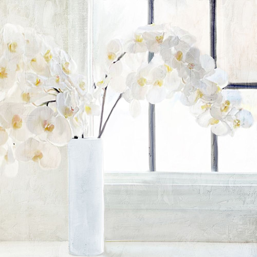 Orchid Stems Poster Print - Kimberly Allen - Item # VARPDXKASQ3264A2