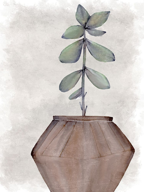 Succulent Plant 2 Poster Print - Kimberly Allen - Item # VARPDXKARC4057B