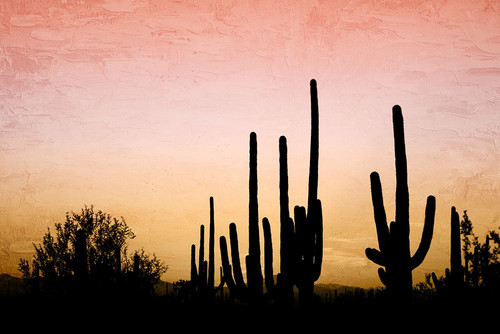 Desert Silhouette Poster Print - Kimberly Allen