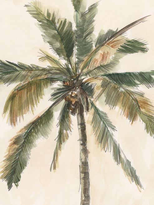 Antique Watercolor Palm Study I Poster Print - Ethan Harper