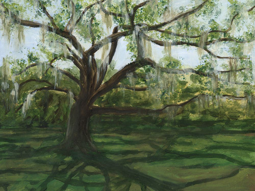 Live Oak II Poster Print - Michael Willett - Item # VARPDX211034FN