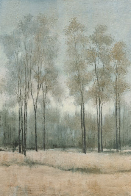 A Woodland Walk II Poster Print - Tim OToole - Item # VARPDX210317FN