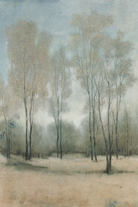 A Woodland Walk I Poster Print - Tim OToole - Item # VARPDX210316FN