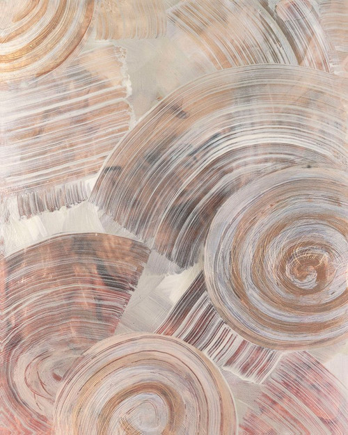 Spiral Fossils II Poster Print - June Erica Vess - Item # VARPDX210293VME