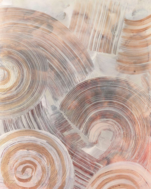 Spiral Fossils I Poster Print - June Erica Vess - Item # VARPDX210292VME