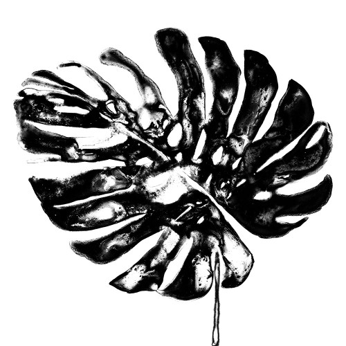Monochrome Tropic V Poster Print - June Erica Vess - Item # VARPDX120427Z