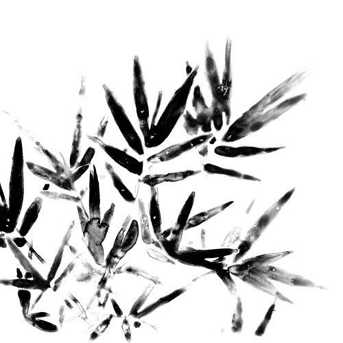 Monochrome Tropic VIII Poster Print - June Erica Vess - Item # VARPDX120430Z