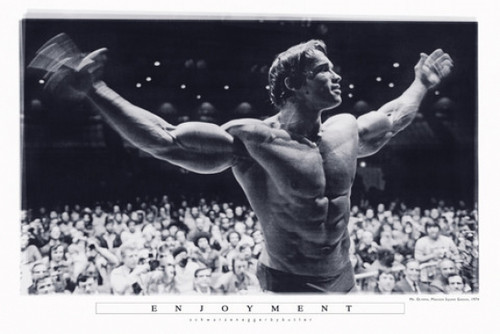 Arnold Schwarzenegger Mr Olympia Poster Poster Print - Item # VARXPS1353