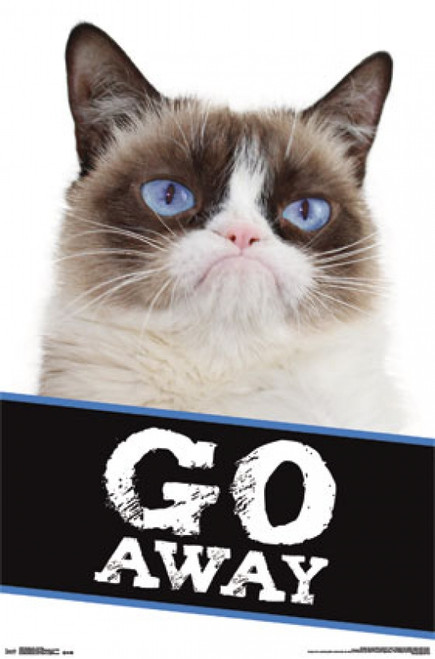 Grumpy Cat - Go Away Poster Print