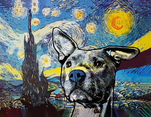 Starry Pittie Poster Print - Dean Russo (31 x 24)