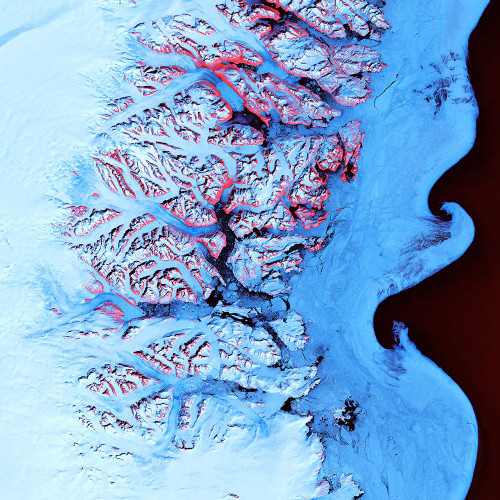 Southeastern Coast of Greenland Viewed from Space Poster Print - NASA (12 x 12)