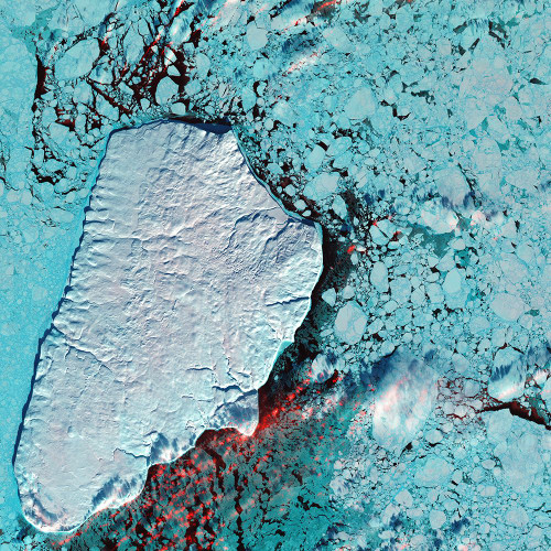 Akpatok Island in Ungava Bay Viewed from Space Poster Print - NASA (12 x 12)
