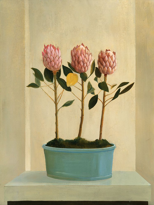 Protea Stand Poster Print - Hampton Hall (24 x 32)