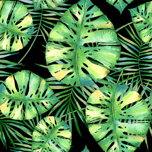 Tropics Noir Poster Print - Tina Lavoie (24 x 24)