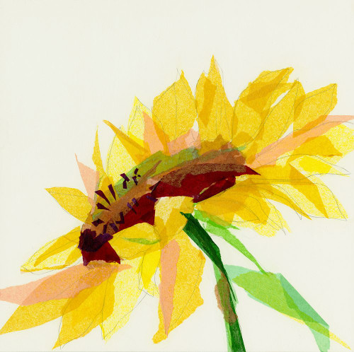 The Brightest Poster Print - Susan Pepe # VARPDXUP055A