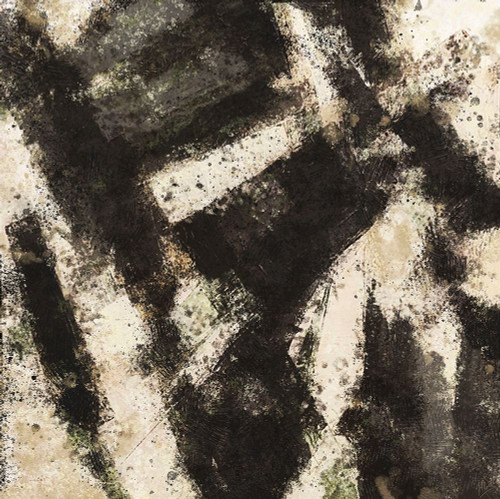 Abstract Black And White Poster Print - Marta Wiley (12 x 12)