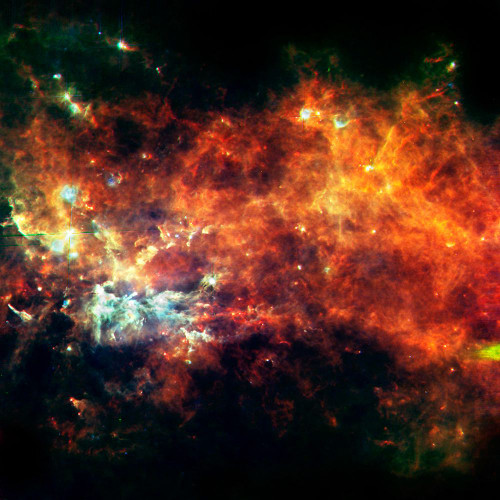 The Constellation of Vulpecula Poster Print - NASA (24 x 24)