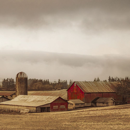 Rustic Countryside Poster Print - Don Schwartz (12 x 12)