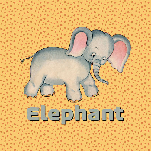 Cute Baby Elephant Poster Print - Tina Lavoie (24 x 24)
