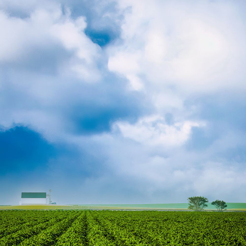 Barn on the Edge of the Field Poster Print - Don Schwartz (12 x 12)