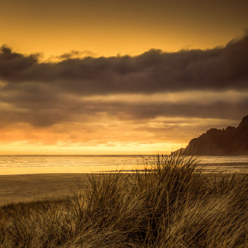 Sundown Through the Dune Grasses Poster Print - Don Schwartz (12 x 12)