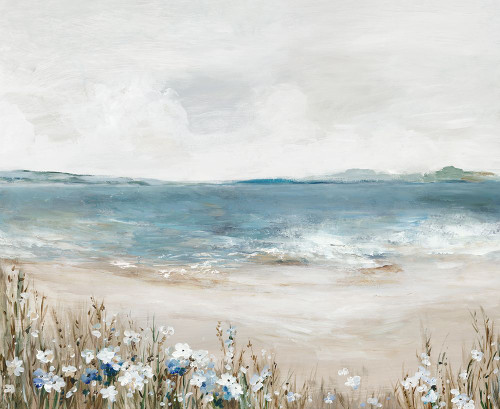 Shoreline Splendor I Poster Print - Allison Pearce (29 x 24)