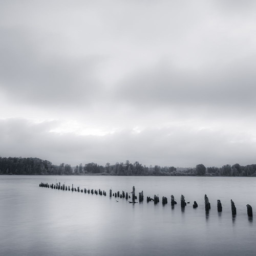 Serene River Poster Print - Don Schwartz (12 x 12)