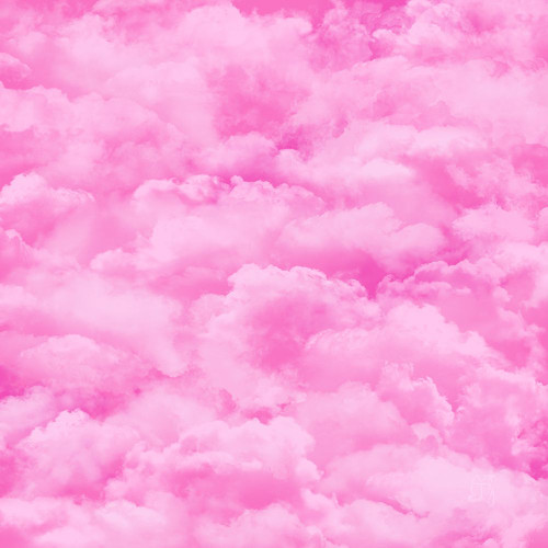 Pink Sky Poster Print - Tina Lavoie (12 x 12)