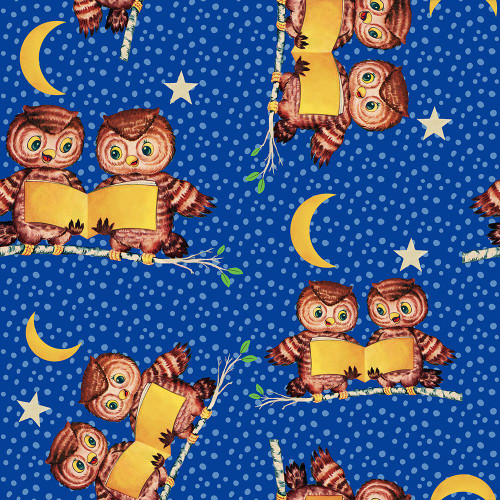 Cute Baby Owls Starry Night Pattern Poster Print - Tina Lavoie (12 x 12)