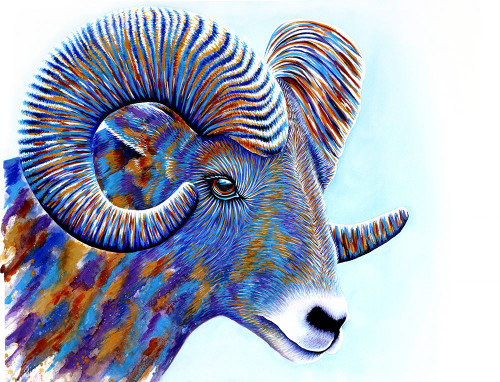 Ram Poster Print - Martin Wickstrom (31 x 24)