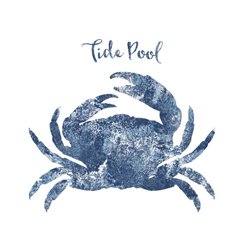 Tide Pool Crab Poster Print - Tina Lavoie (24 x 24)