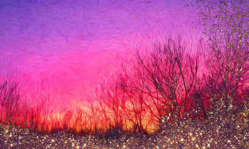 Sunset Magic Poster Print - Tina Lavoie (36 x 22)