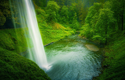 Spring Cascade Poster Print - Don Schwartz (36 x 32)